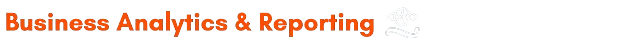 ZET Indi+ Solutions Zansi Tech Solutions Business Analytics & Reporting