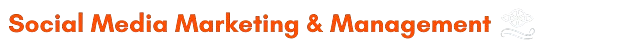 ZET Indi+ Solutions Zansi Tech Solutions Social Media Marketing & Management image